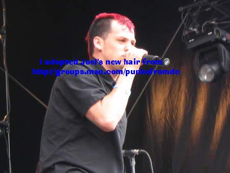 adoptjoelshair.jpg